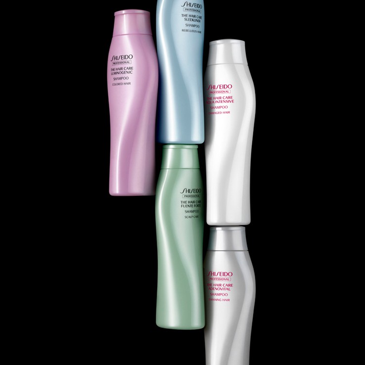 2012bSHISEIDO PROFESSIONAL THE HAIR CARE